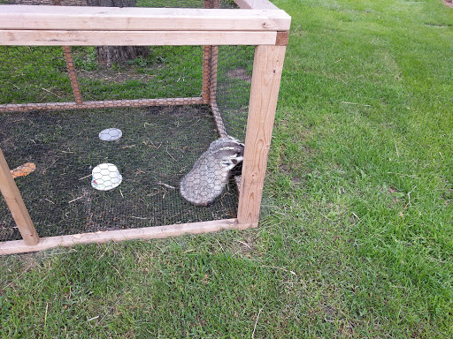 Zoo «Hemker Park & Zoo», reviews and photos, 26715 County Road 39, Freeport, MN 56331, USA