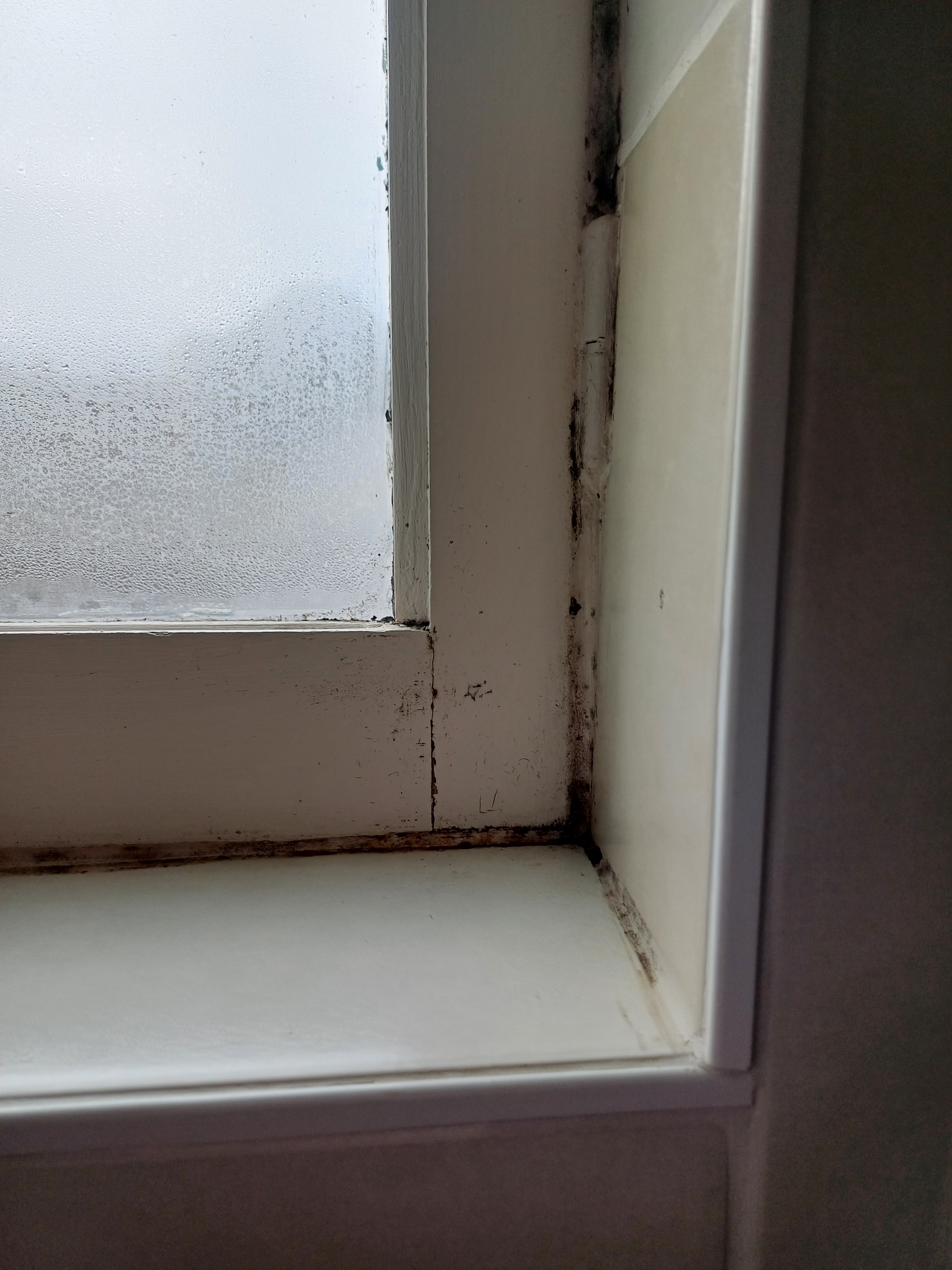 Photo n° 2 de l'avis de Oceane.e fait le 16/03/2024 à 17:04