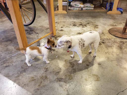 Pet Store «Next to Nature», reviews and photos, 4543 California Ave SW, Seattle, WA 98116, USA