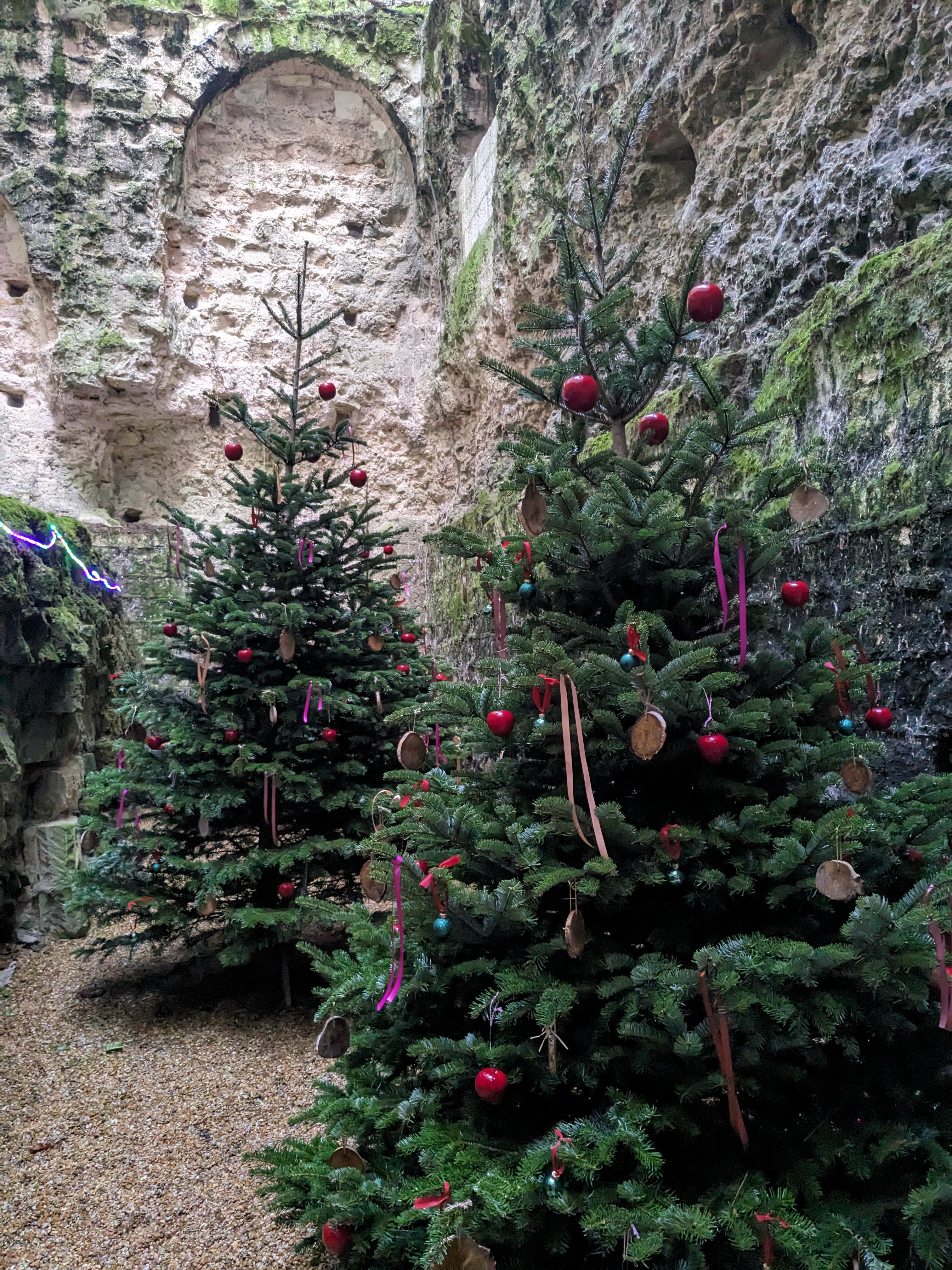 Photo n° 1 de l'avis de N.G fait le 07/01/2024 à 09:15