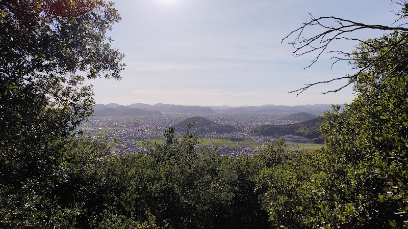 京見山 西見晴らし台