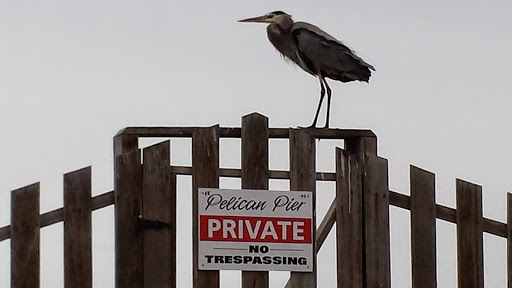 Indoor Lodging «Little Bay Club», reviews and photos, 1801 Broadway St, Rockport, TX 78382, USA