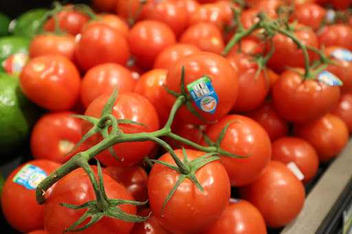 Grocery Store «Food Lion», reviews and photos, 85 Maddex Square Dr, Shepherdstown, WV 25443, USA