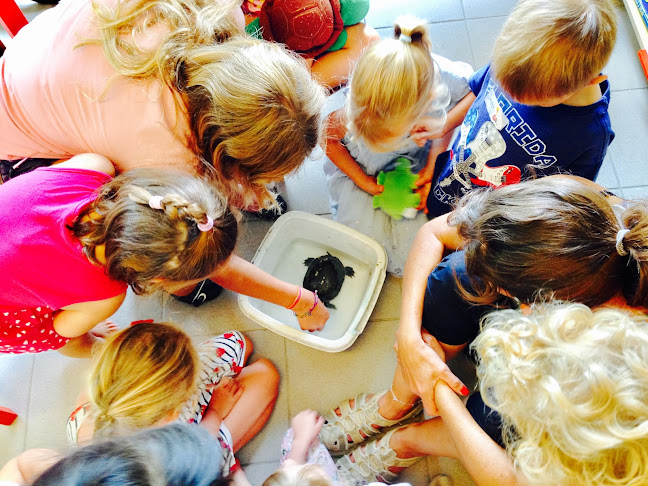 The Chatterbox - Nyon