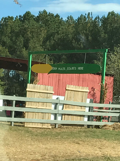 Tourist Attraction «Mitcham Farm», reviews and photos, 797 W Macedonia Church Rd, Oxford, GA 30054, USA