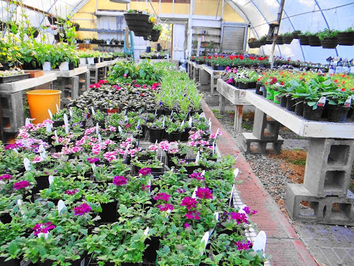 Florist «Kembles Greenhouse», reviews and photos, 308 S Prairie St, Prairie du Chien, WI 53821, USA