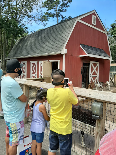 Tourist Attraction «Tree To Tree Cape May», reviews and photos, 707 U.S. 9, Cape May Court House, NJ 08210, USA