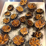 Photo n°1 de l'avis de Valérie.i fait le 17/07/2018 à 12:12 sur le  Pescheria Trattoria del Pescatore da Murianni à Taranto