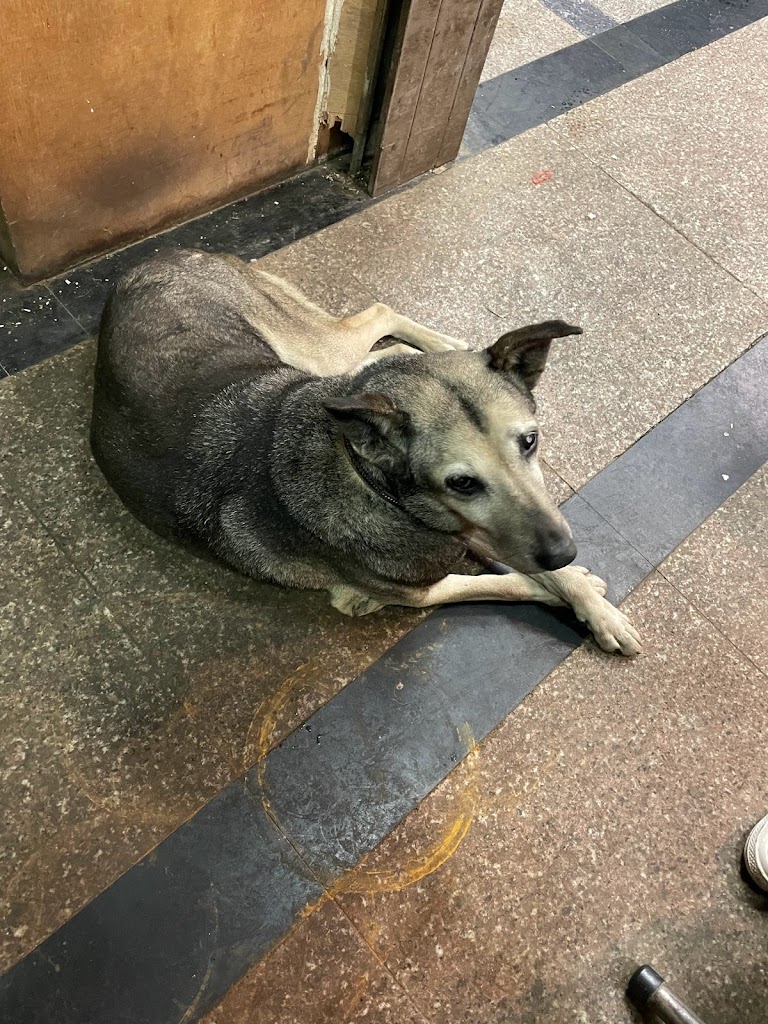 黃家麻辣臭豆腐 的照片