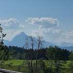 Photo n°3 de l'avis de Veronika.e fait le 03/06/2023 à 15:44 sur le  Landgasthaus Mittelallgäu GmbH à Betzigau