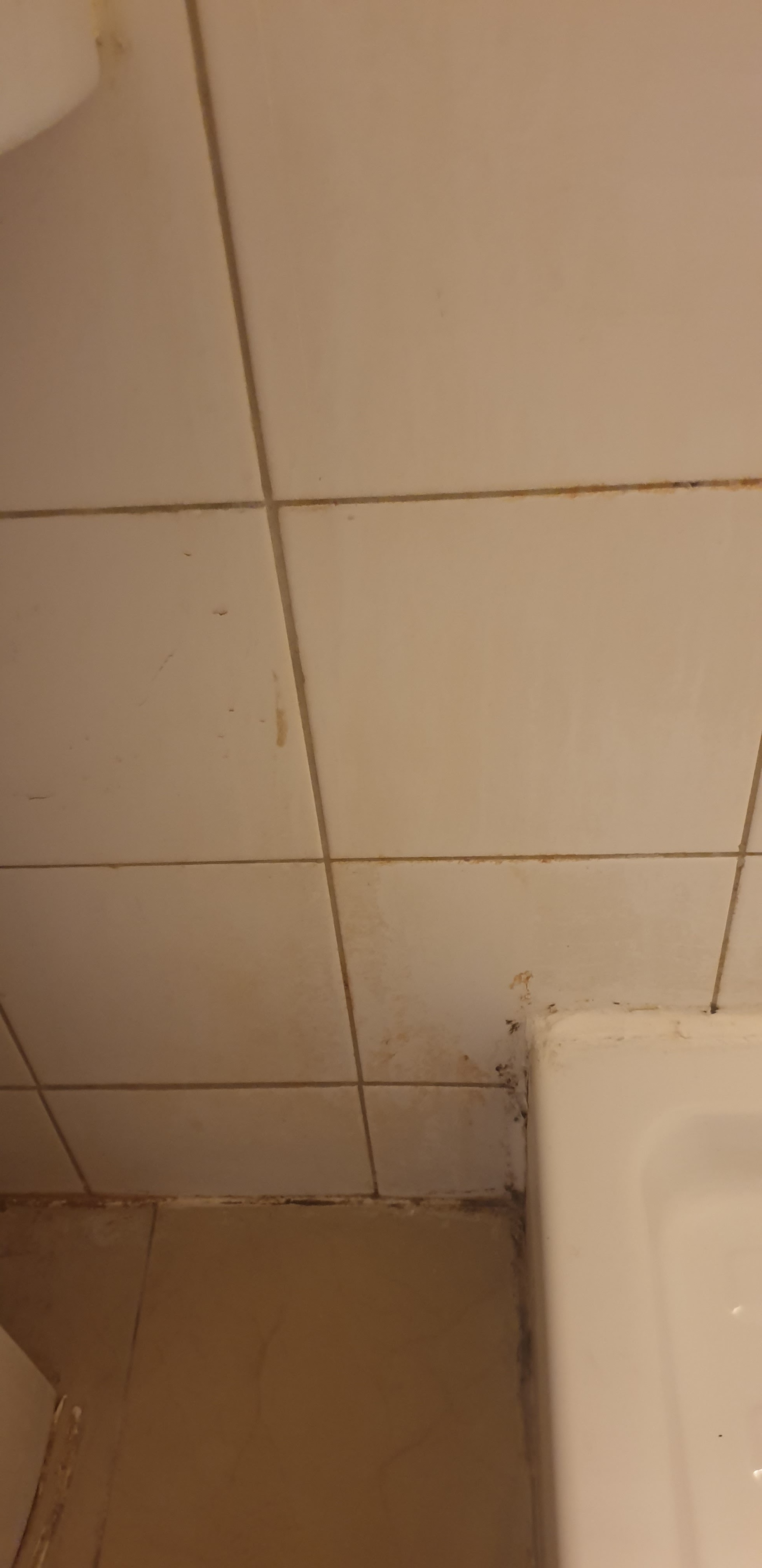 Photo n° 3 de l'avis de Damien.e fait le 25/07/2019 à 17:39