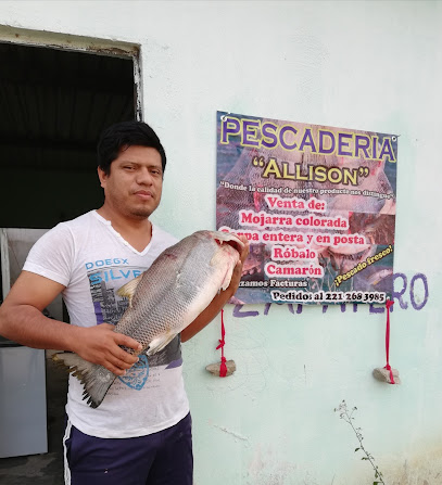Pescaderia Alisson - Solidaridad, 86773 Jonuta, Tabasco, Mexico