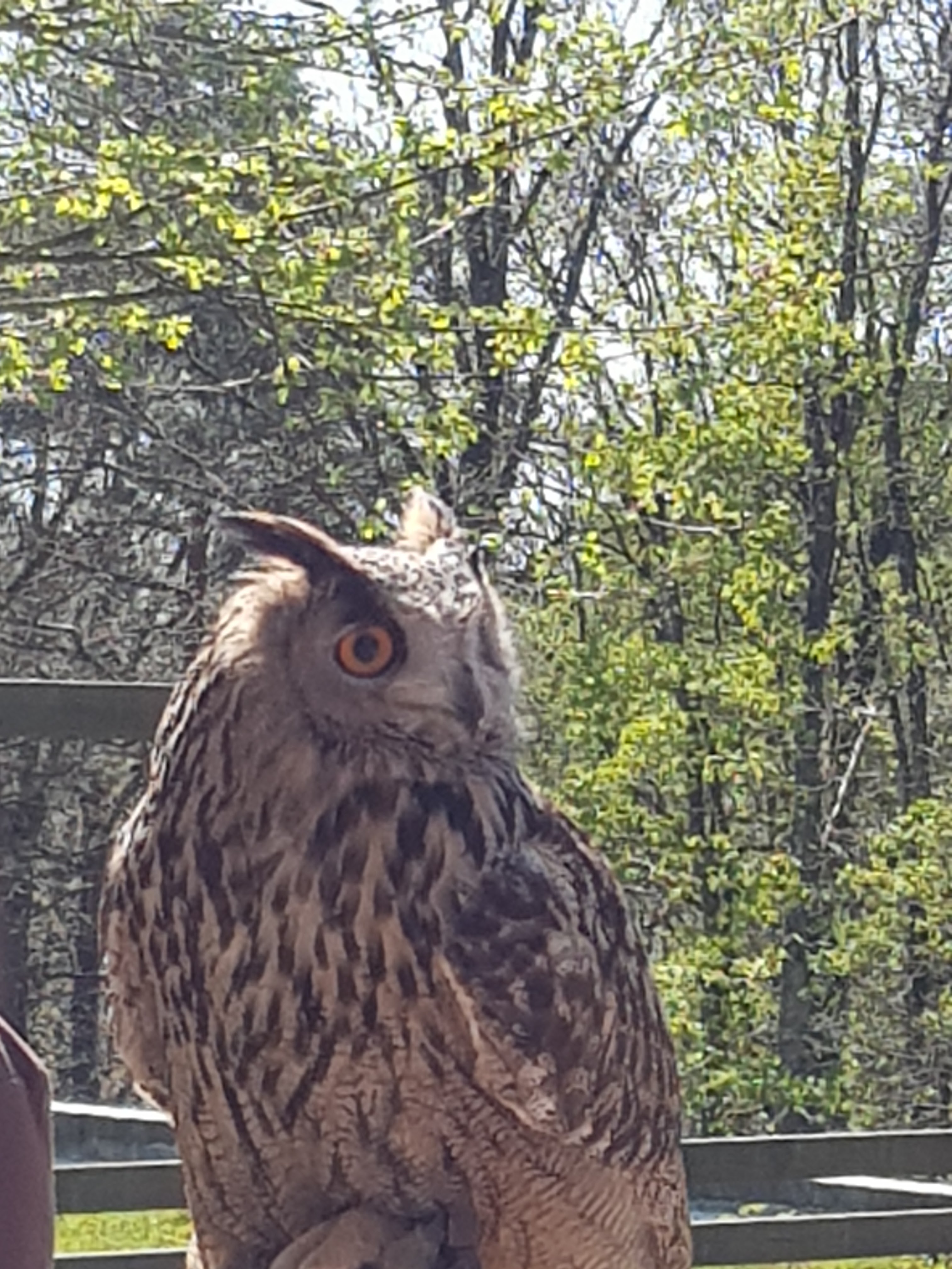 Photo n° 2 de l'avis de Elo.b fait le 09/06/2019 à 12:26