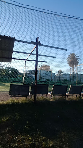 Opiniones de LOKURA futbol 5 en Montevideo - Campo de fútbol