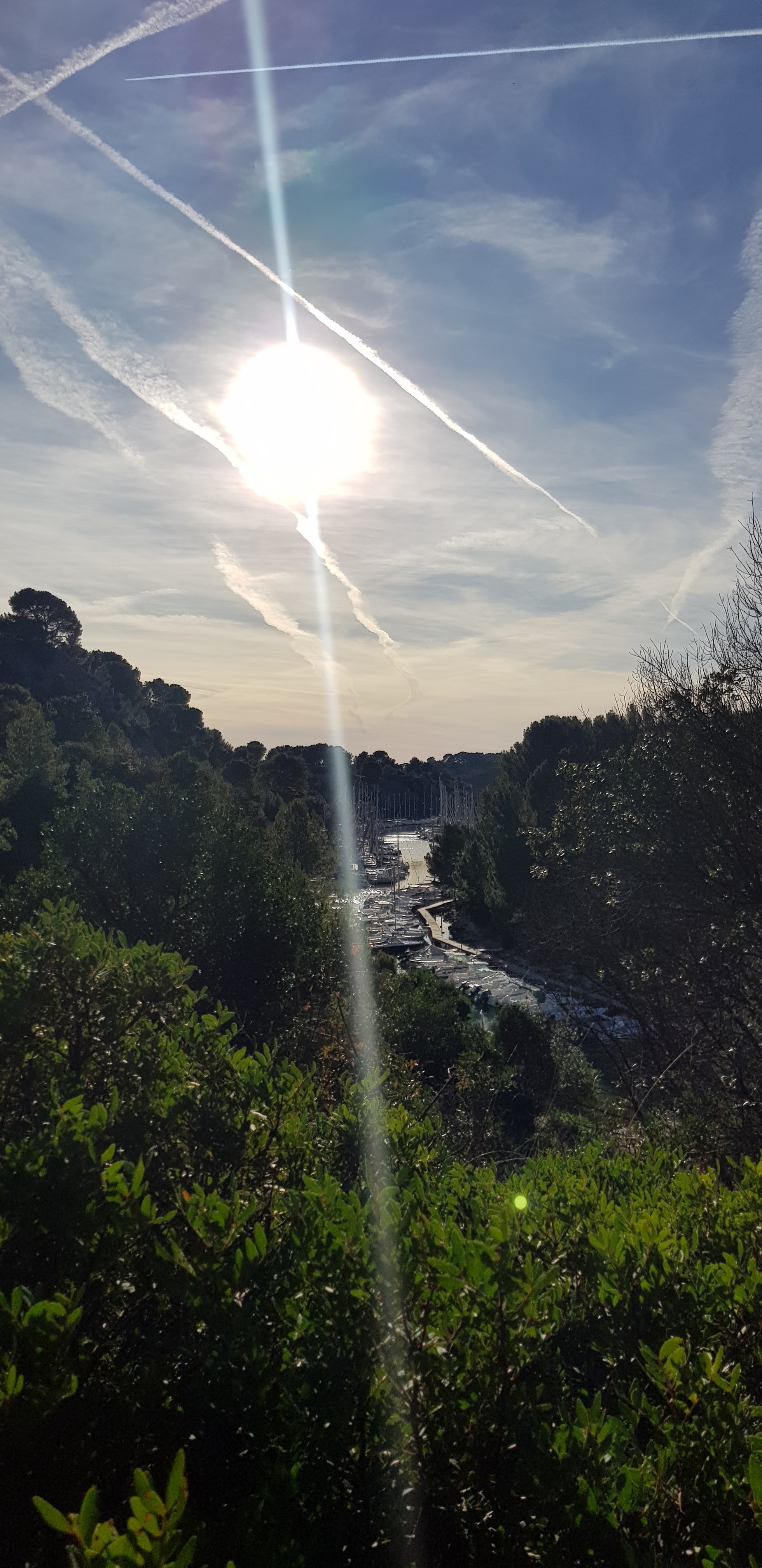 Photo n° 39 de l'avis de David.o fait le 07/01/2019 à 16:46
