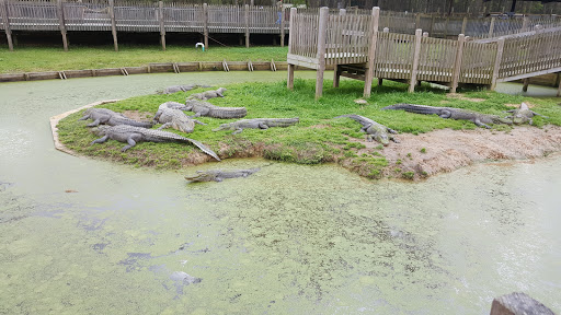 Zoo «Gators and Friends», reviews and photos, 11441 US-80, Greenwood, LA 71033, USA