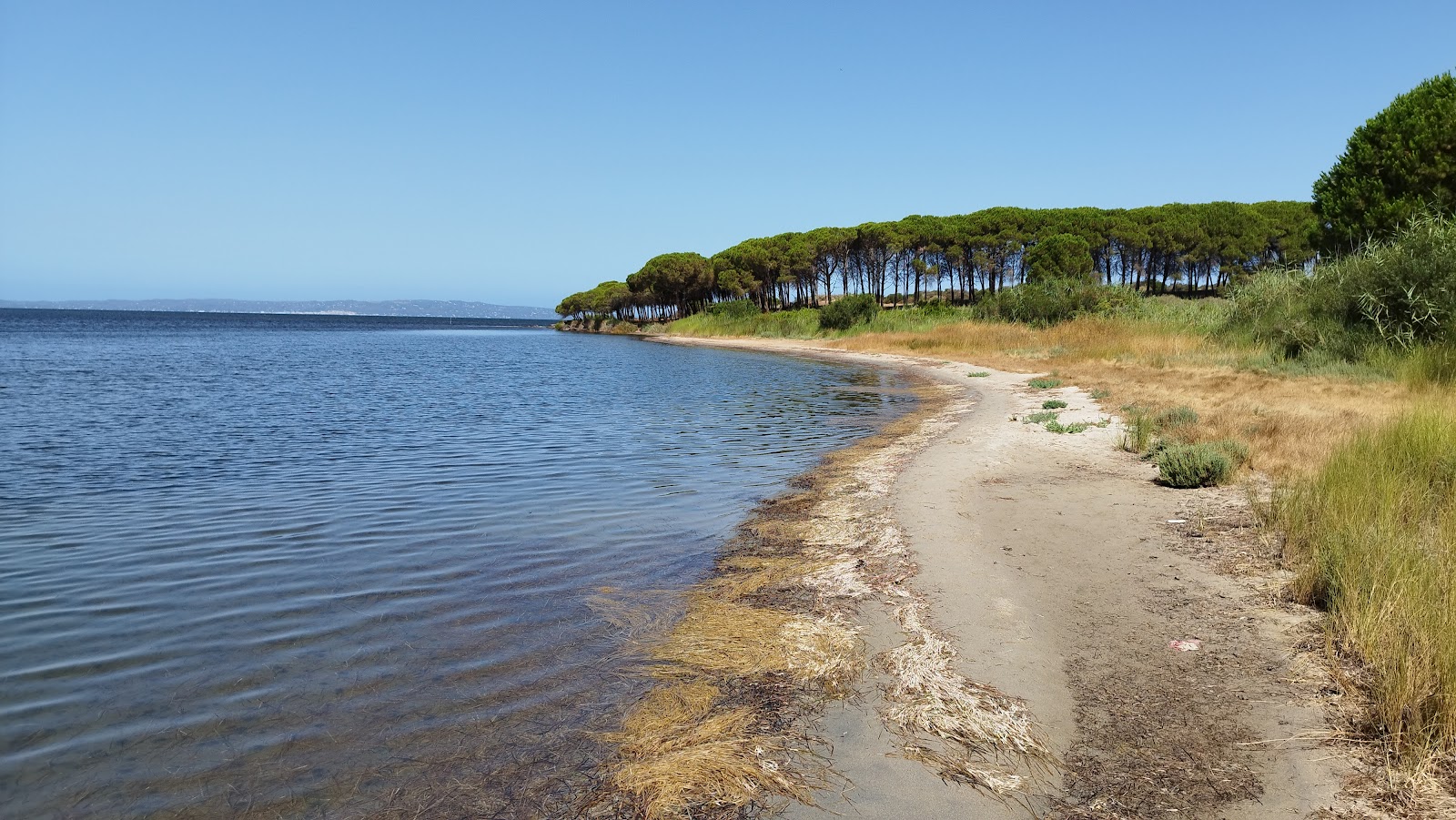 Fotografija Spiaggia di Corongiuali z svetel pesek površino