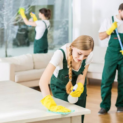We Do It All Home Cleaning Services