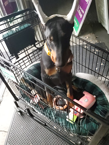 Pet Supply Store «Pet Supplies Plus», reviews and photos, 1411 S Stockton St, Lodi, CA 95240, USA