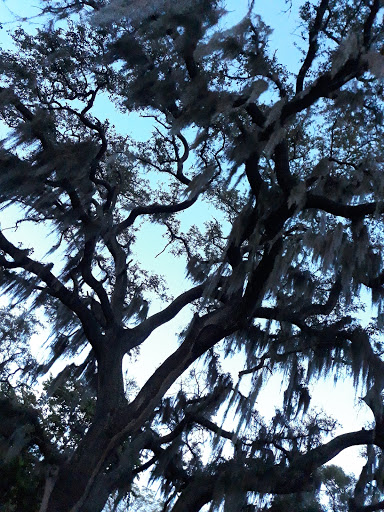 Memorial Park «Veterans Memorial Park», reviews and photos, 250 Shore Dr E, Oldsmar, FL 34677, USA