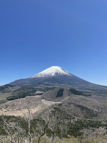 冨士エコツアー・サービス