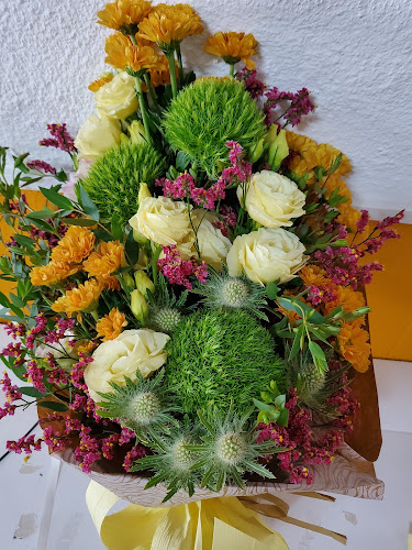 Dorita Flores - Évora