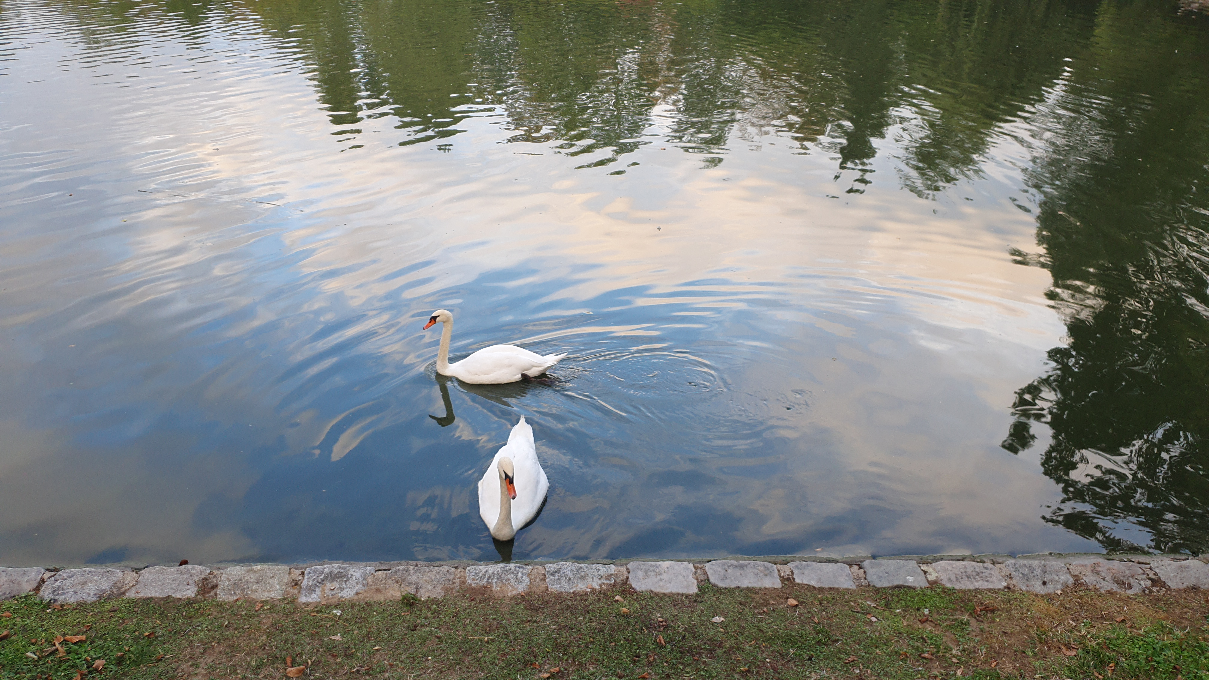Photo n° 2 de l'avis de Sisi.e fait le 12/09/2020 à 23:27