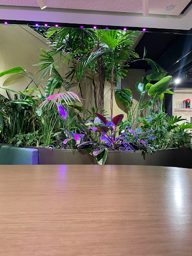 Boutique «Nespresso Madison Boutique & Cafe», reviews and photos, 761 Madison Ave, New York, NY 10065, USA