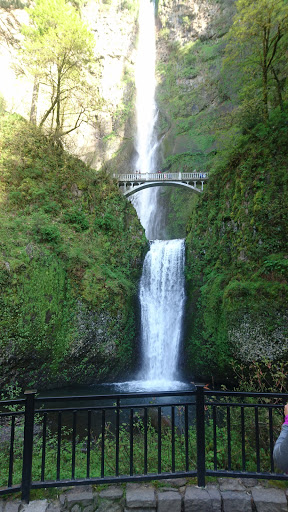 Waterfall «Horsetail Falls», reviews and photos, Historic Columbia River Hwy, Cascade Locks, OR 97014, USA