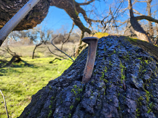 Park «Anderson River Park», reviews and photos