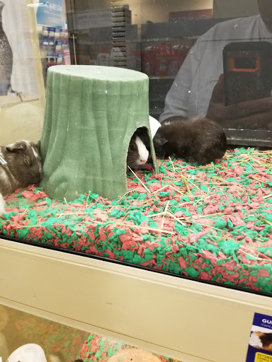 Pet Supply Store «PetSmart», reviews and photos, 3803 Venture Dr, Duluth, GA 30096, USA