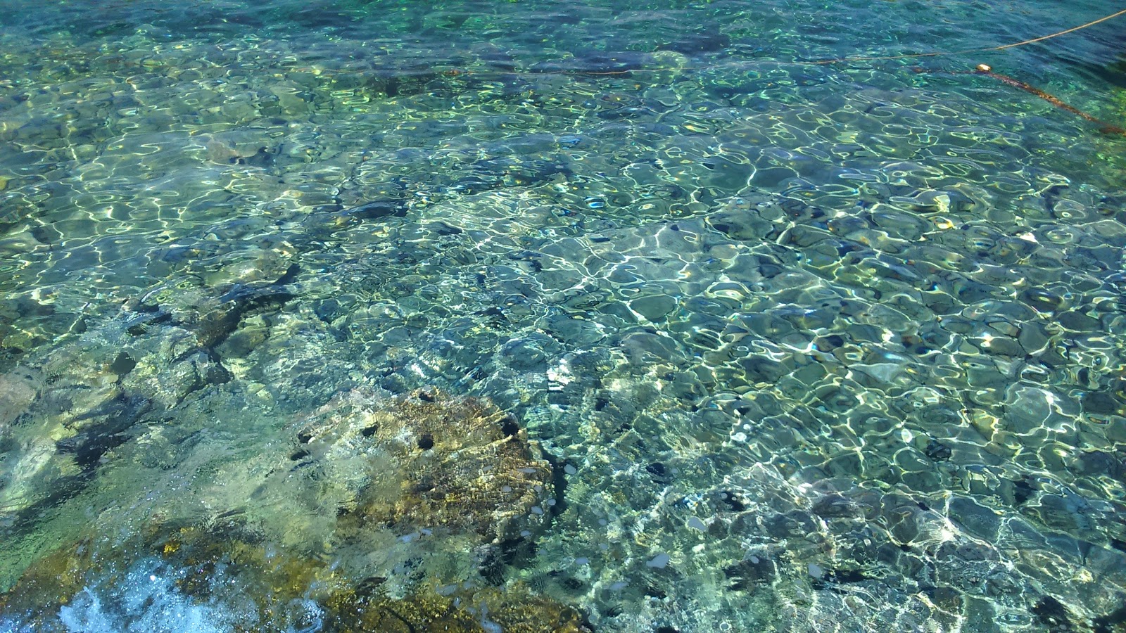 Foto von Prirovo beach - beliebter Ort unter Entspannungskennern