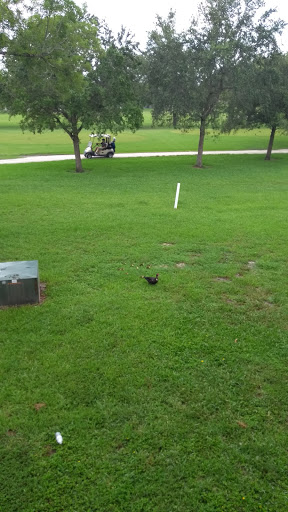 Golf Course «The Bridges at Springtree Golf Club», reviews and photos, 8150 Springtree Dr, Sunrise, FL 33351, USA