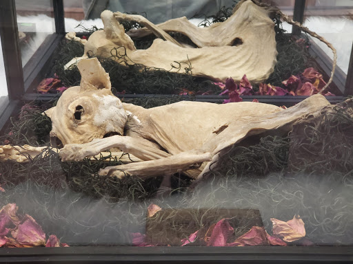 Explore family memorial tattoo ideas, creative tattoo ideas in El Paso, available at Piercing polis