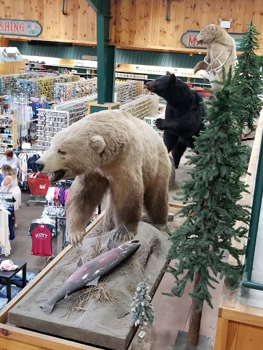 Gun Shop «Vance Outdoors», reviews and photos, 150 Arrowhead Dr, Hebron, OH 43025, USA