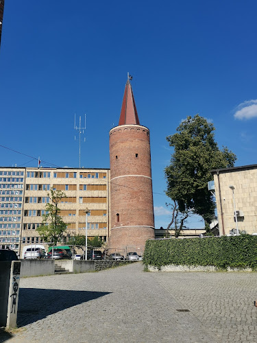 Amfiteatr - Organizator imprez