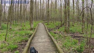 Hamus Nature Preserve & Recreation Area - photo 24