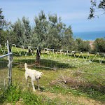 Photo n°12 de l'avis de Nicolò.a fait le 07/05/2023 à 10:56 sur le  Gusto & Degusto à Roseto degli Abruzzi