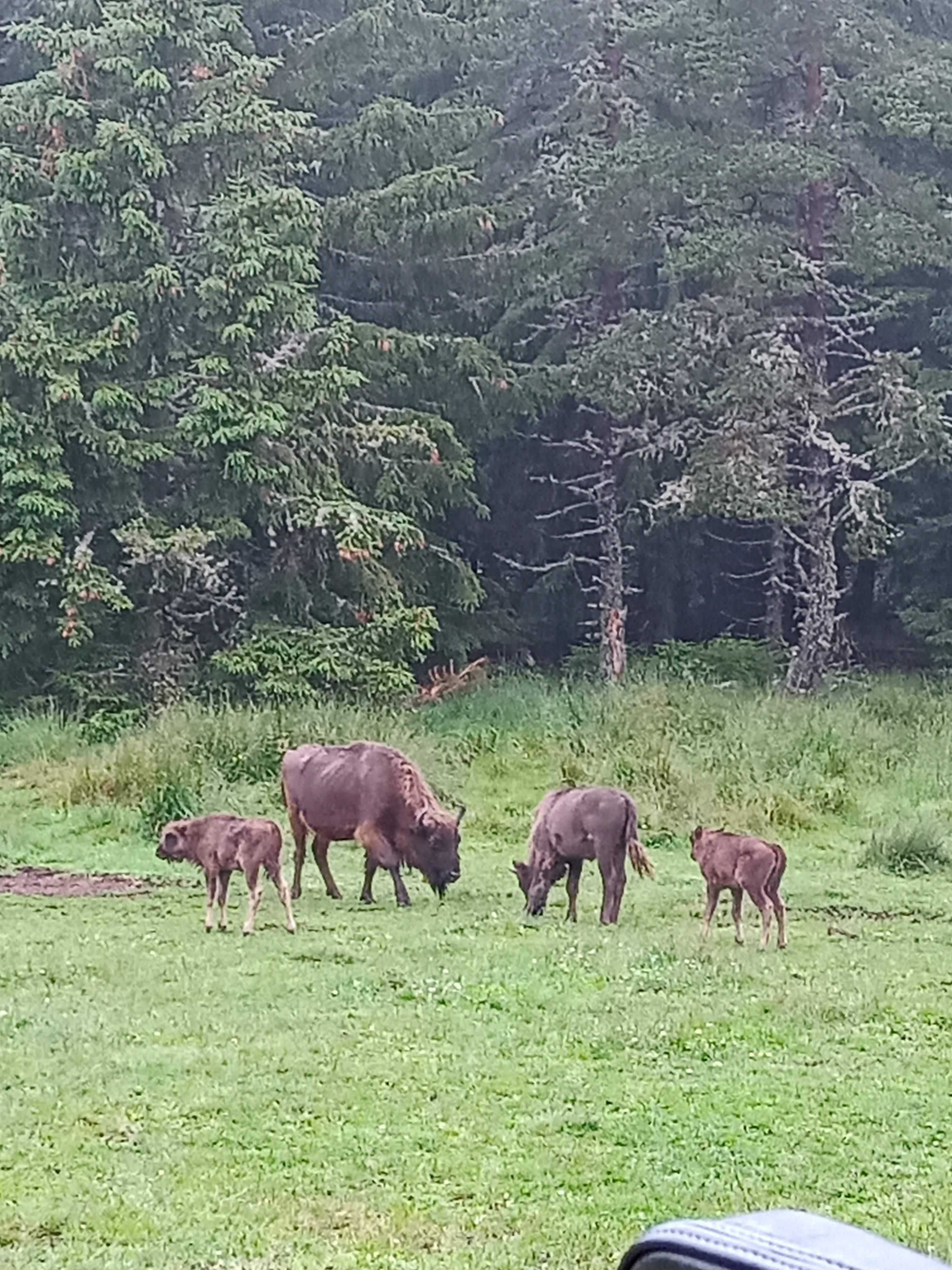 Photo n° 14 de l'avis de Marj.a fait le 18/07/2021 à 21:04