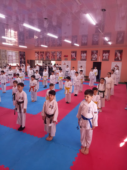 Rafael Karate School - HM8H+F6P, Çerkassı küç., Sumqayıt 5011, Azerbaijan