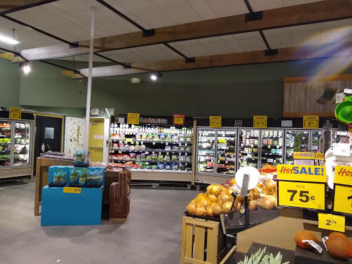 Grocery Store «Food Lion», reviews and photos, 46 Madison Plaza Dr, Madison, VA 22727, USA