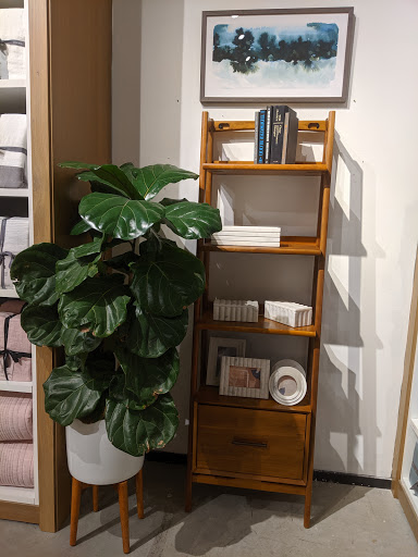 Furniture Store «west elm», reviews and photos, 248 E Colorado Blvd, Pasadena, CA 91101, USA