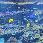 Photo n° 18 de l'avis de Franck.p fait le 08/10/2023 à 18:14 pour ZooParc de Beauval à Saint-Aignan