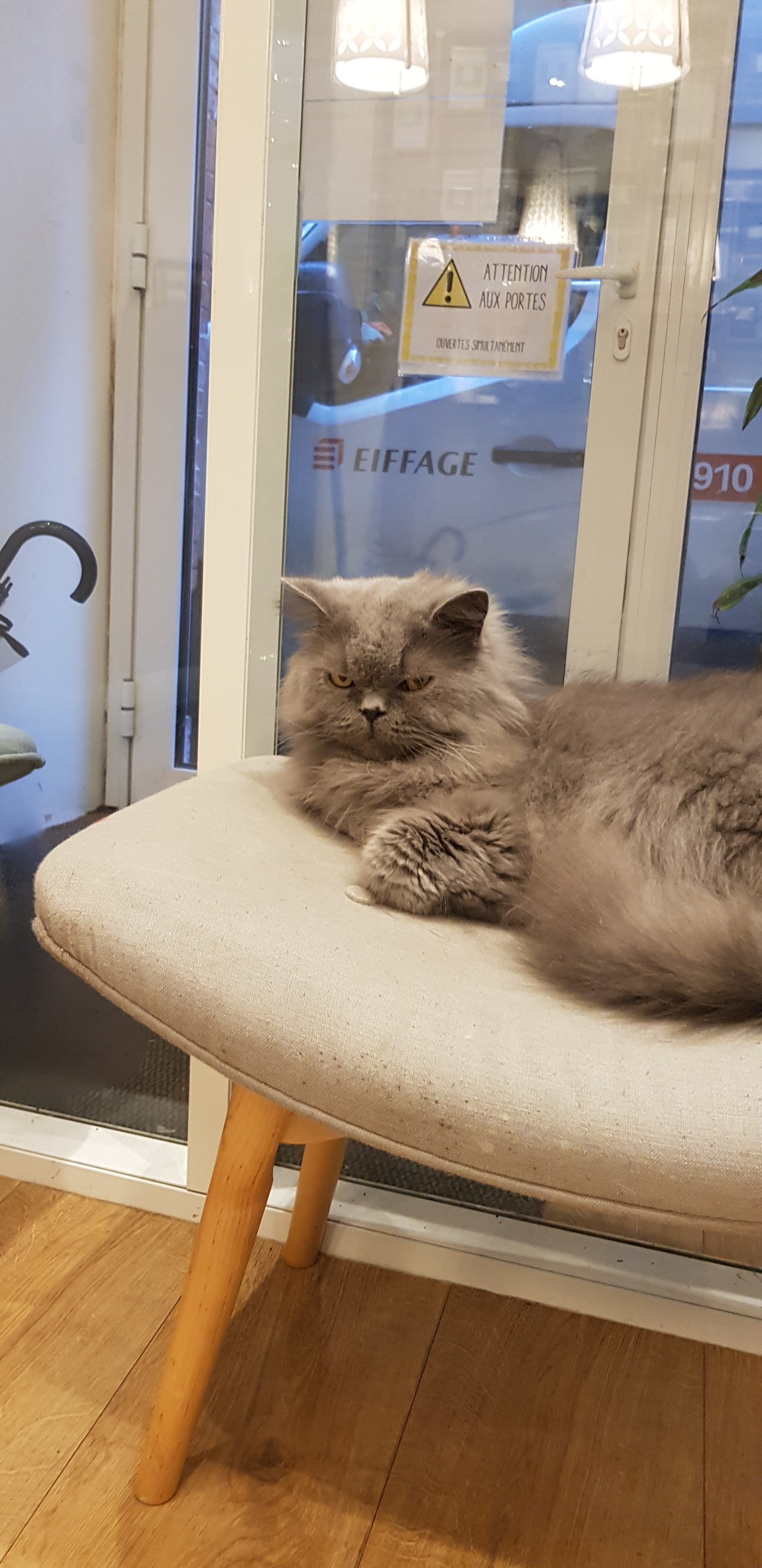 Photo n° 3 de l'avis de Jolène.h fait le 24/10/2018 à 09:40
