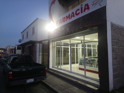 Farmacia Santa Magdalena Vicente Villagran 2, Centro, Nopala, Hgo. Mexico