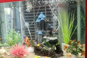 R.B Aquarium House मछली घर image