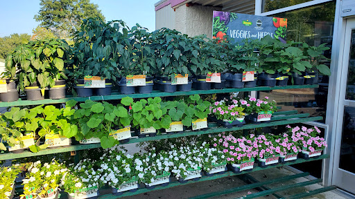 Home Improvement Store «Tractor Supply Co.», reviews and photos, 5111 Murfreesboro Rd, College Grove, TN 37046, USA