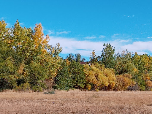 Park «Wildflower Park», reviews and photos, 980 Nolte Dr N, Colorado Springs, CO 80916, USA