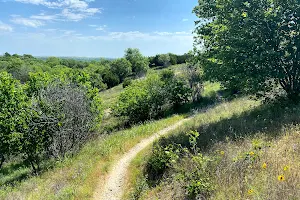 Quanah Hill Bike Trail image