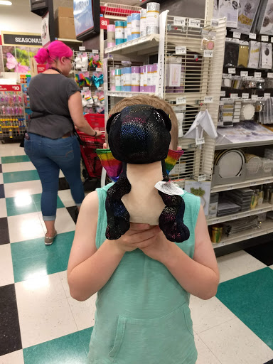 Craft Store «Michaels», reviews and photos, 5055 Transit Rd, Williamsville, NY 14221, USA